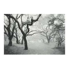 Oak Grove by Stephen McMillan, Etching and aquatint, sold Aug 2025