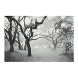 Oak Grove by Stephen McMillan, Etching and aquatint, sold Aug 2025