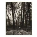 Image from a Past Life by Caroline H. Vaughan, Gelatin silver print, sold Jul 2025