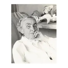 Portrait of Georgia O'Keeffe, Ghost Ranch, New Mexico by Todd Webb, Gelatin silver print, sold Jul 2025