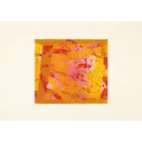 Red coral (SFE-3A) - 1973 by Sam Francis, Eau-forte et aquatinte sur papier vélin Fabriano, sold Jun 2022