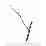 Rémanent by Paulus Marquet, 2020, Acier pâtiné et inox, sold Jun 2022