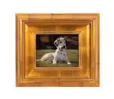 Untitled - Portrait of a Dalmatian by Laura E. Cassidy, oil on board, sold Jan 2026