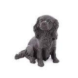 Untitled - King Charles Spaniel by Audrey Catherine Fournier Mulligan, bronze, sold Jan 2026