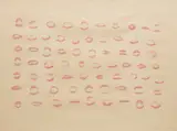 O Canada, 1970 by Joyce Wieland, 1970, colour lithograph, sold Mar 2026