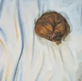 Sleeping Cat by Heather Horton, oil on canvas, sold Mar 2026