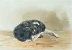 Study of a collie dog by John Mole, Pencil and watercolour heightened with white -, sold May 2026