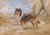 Champion Thane of Athelney by Reuben Ward Binks, Watercolour -, sold May 2026