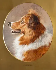 A champion collie by Frank Paton, Pencil and watercolour heightened with white on grey paper -, sold May 2026