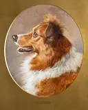 A champion collie by Frank Paton, Pencil and watercolour heightened with white on grey paper -, sold May 2026
