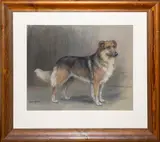 A study of a collie dog by Marion Rodger Hamilton Harvey, drawing, offered May 2026