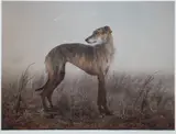 Whisper at Port Meadows by Rory Carnegie, print, sold May 2026