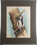 Stu by John Chalkey, Watercolour on paper -, offered Apr 2026