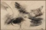 Untitled sketch of a bird in flight - Charcoal sketch - 50 by John Eaton, Charcoal, sold Feb 2026