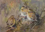 Untitled by Mabel Dawson, Gouache on linen -, sold Feb 2026