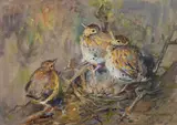 Baby Robins in a nest - Gouache on linen - 21 by Mabel Dawson, Gouache on linen, offered Jan 2026