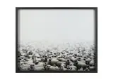 Untitled by Tamás Dezső, Chromogenic print, offered Nov 2024