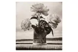 Untitled by Raymond Voinquel, Silver gelatin print, printed later, image size, offered Oct 2024