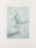 Untitled by Paul Winstanley, pencil, offered Oct 2024