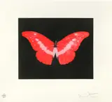 Untitled by Damien Hirst, pencil, offered Oct 2024
