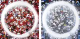 Untitled by Takashi Murakami, print (other), offered Oct 2024