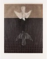 Untitled by Charming Baker, pencil, offered Oct 2024