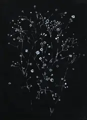 Gypsophila by Prunella Clough, Acrylic, sold Mar 2024