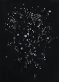 Gypsophila by Prunella Clough, Acrylic, sold Mar 2024