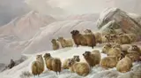 Sheep in a snowy highland landscape by Charles Jones, Oil on canvas, sold Feb 2024