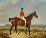 John pulteney on 'maximus' by William Webb, Oil on canvas, sold Feb 2024