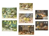 Seven still lives of game by William Cruickshank, Watercolour and gouache Variously signed, offered Feb 2024