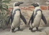 Penguins by Henry Stacy Marks, Watercolour on paper, circa, sold Dec 2023