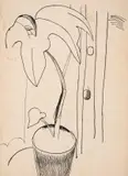 Still Life With Plant by Lucian Freud, Pen and ink on paper, circa, sold Dec 2023