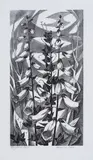 Foxgloves by Monica Poole, Wood engraving, circa, sold Dec 2023