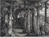 Edge of the Wood by Monica Poole, Wood Wood engraving, circa, sold Dec 2023