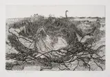 Heath with Juniper by Anthony Gross, Etching, offered Dec 2023