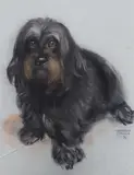 Dog portrait by Margaret Palmer, pastel, offered Apr 2024
