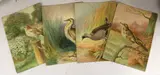 Bittern by George Rankin, watercolor, sold Apr 2024