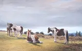 Ponies on May Hill by Claire Verity, pastel, sold Mar 2024