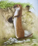 Miniature by Victor H. S. Burroughs, watercolour, offered Mar 2024