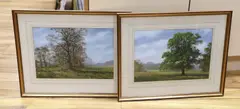 Rural landscapes by Peter Robinson, watercolor, sold Mar 2024