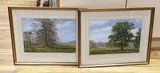 Rural landscapes by Peter Robinson, watercolor, sold Mar 2024