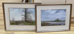River landscape with birds in flight and rural landscape by Peter Robinson, watercolor, sold Mar 2024