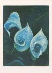 Lily by Annie Hole, etching, sold May 2024