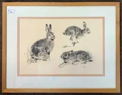 A study of a hare in three positions by John Paley, charcoal on paper, sold May 2024