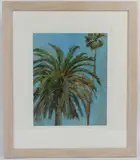 Palms Pasadena by Robert Jones, oil on board, offered Oct 2026