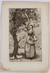 Gathering Apples etching by Thomas Riley, 1882, etching, sold Oct 2026