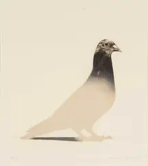 Pigeon by Bryan Organ, 1976, lithograph, offered Nov 2024