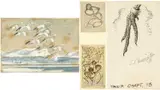 Untitled by Charles Frederick Tunnicliffe, mixed media, sold Nov 2024