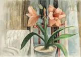 Amaryllis by John Elwyn, watercolour on paper, sold Nov 2024